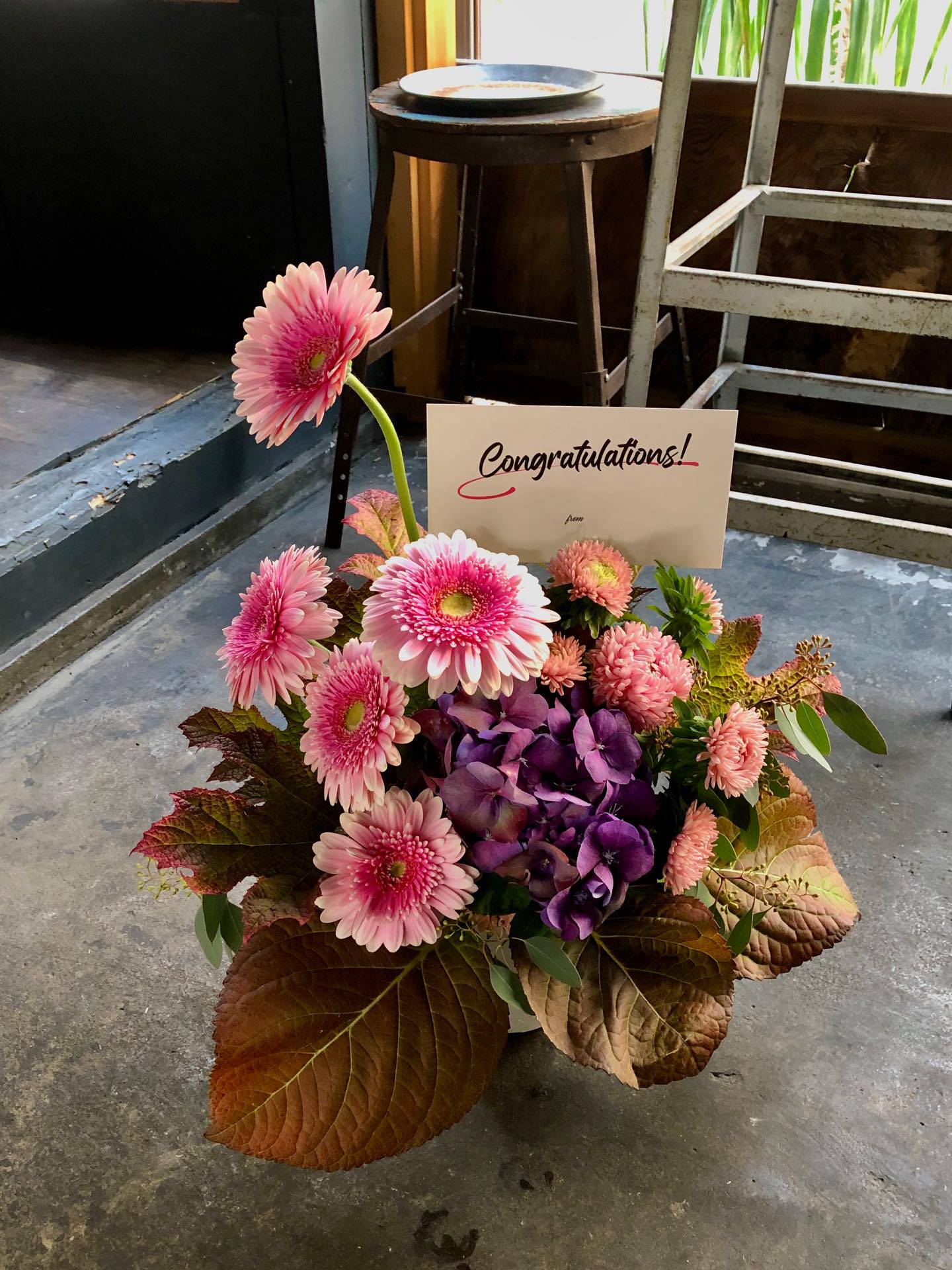 秋色色々今年は100歳のお祝い花多いですいつまでも元気でいて ...